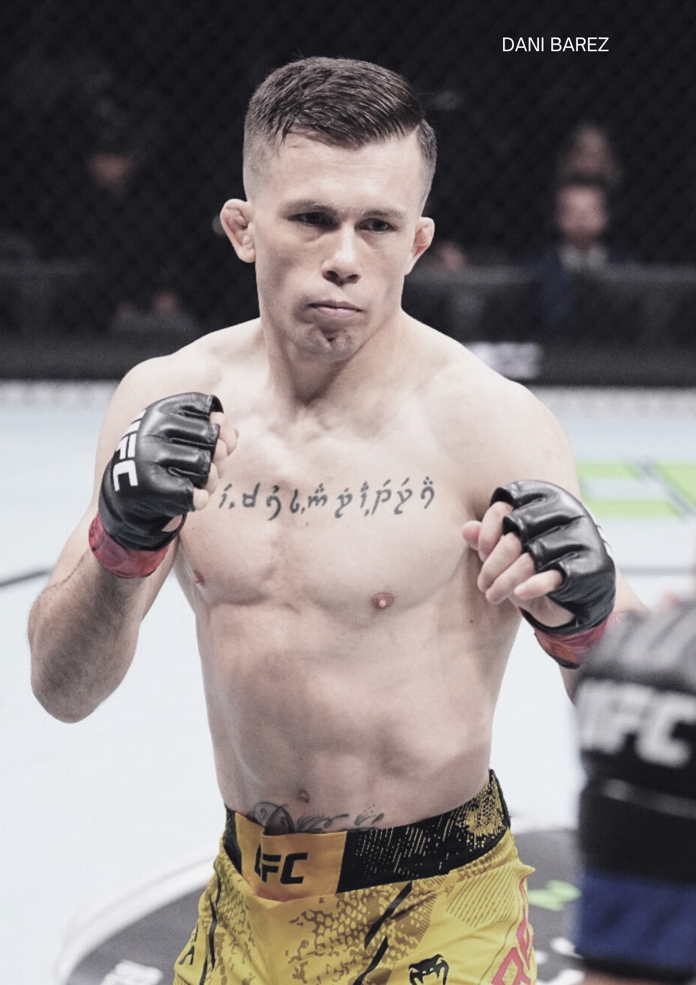 dani barez ufc